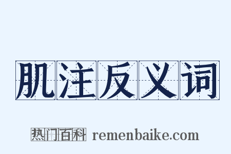 肌注反义词是什么意思的图片